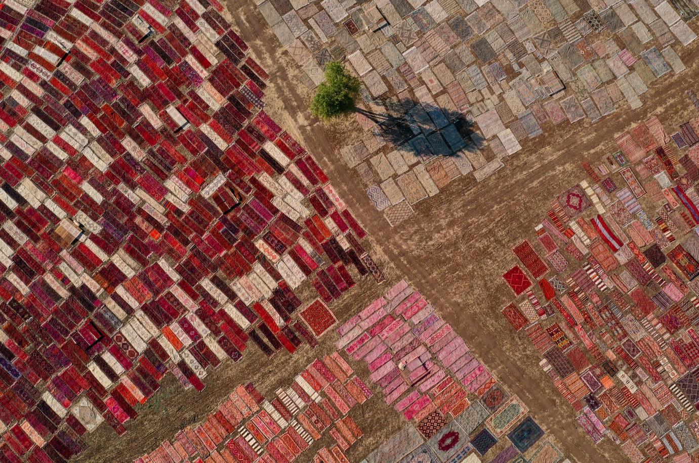 Ovo je razlog zašto je stotine tepiha prostrto na poljima u Antaliji