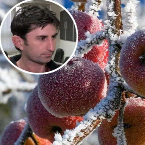 Poljoprivrednici zabrinuti zbog promjene vremena: Hoće li proljetni mraz uništiti voće