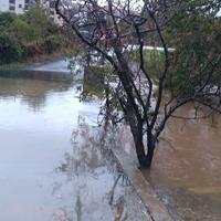 Voda prijeti kućama u selu Fojnica kod Gacka: Oborena stabla i odron na cesti 