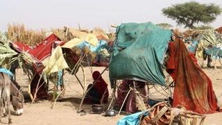 UN: Sve veća glad u Sudanu, skoro četiri miliona raseljeno