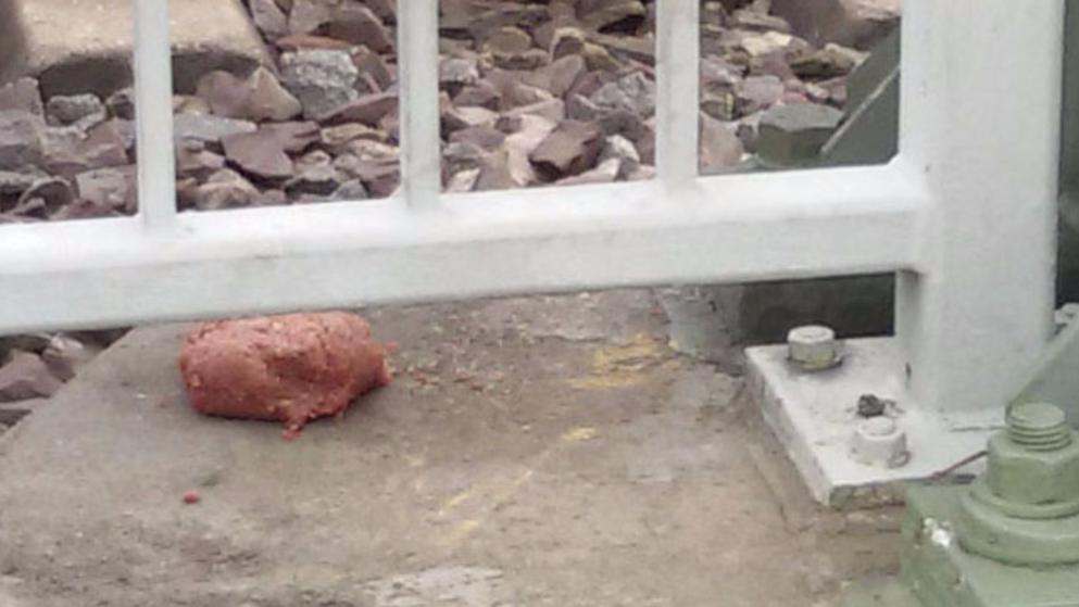 Misteriozno meso na željezničkoj stanici: Niko ne zna ko i zašto ga ostavlja