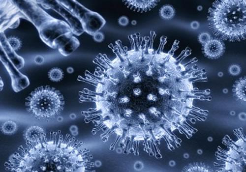Alarmantno stanje: Opasan virus širi se Amerikom