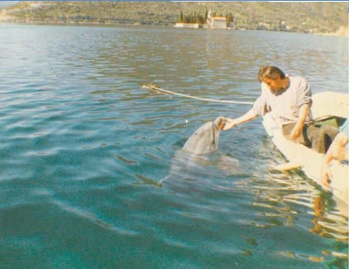 Ko se sjeća Joce, najpopularnijeg delfina 80-tih godina?