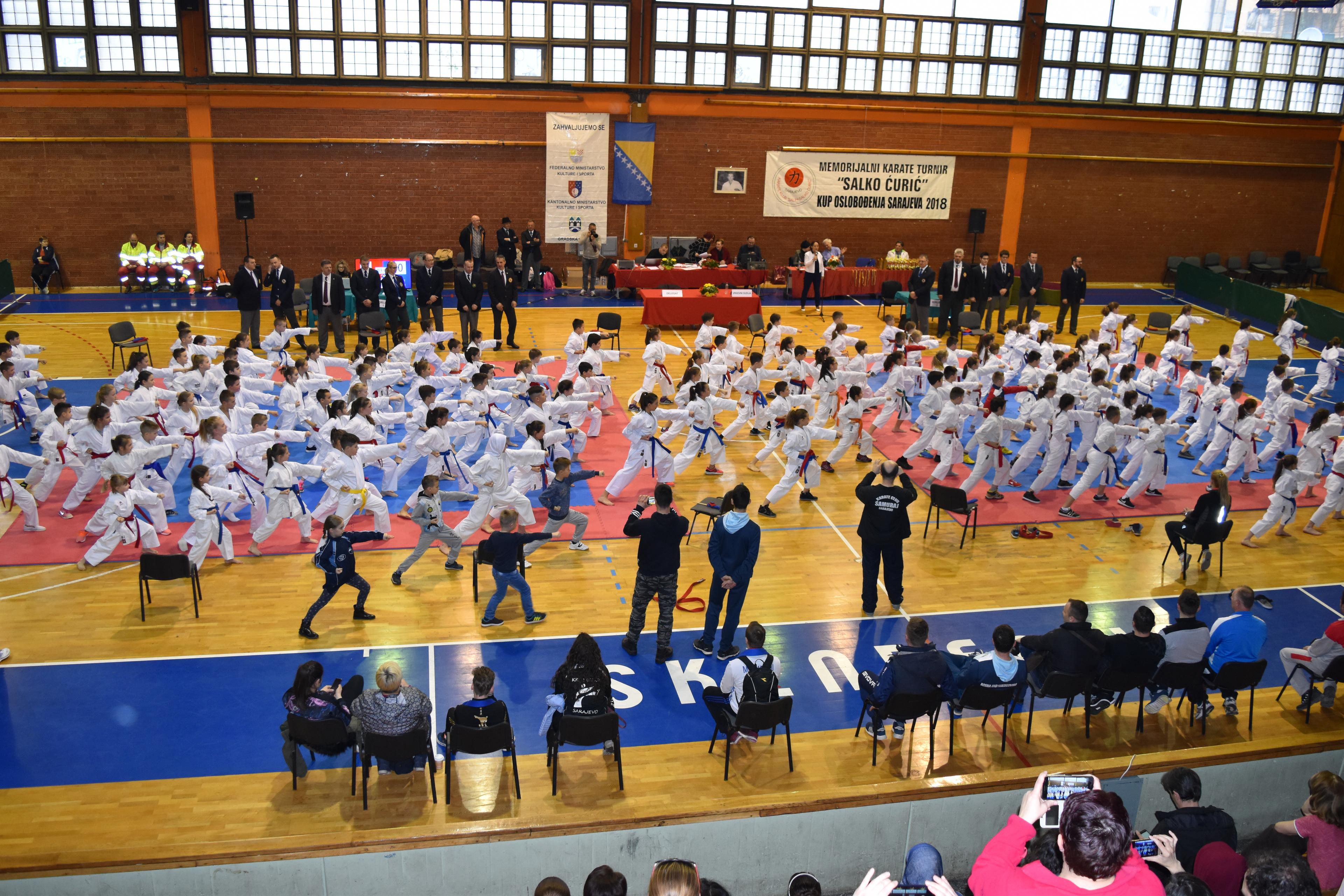 Karate: Svi pobjednici turnira u Sarajevu