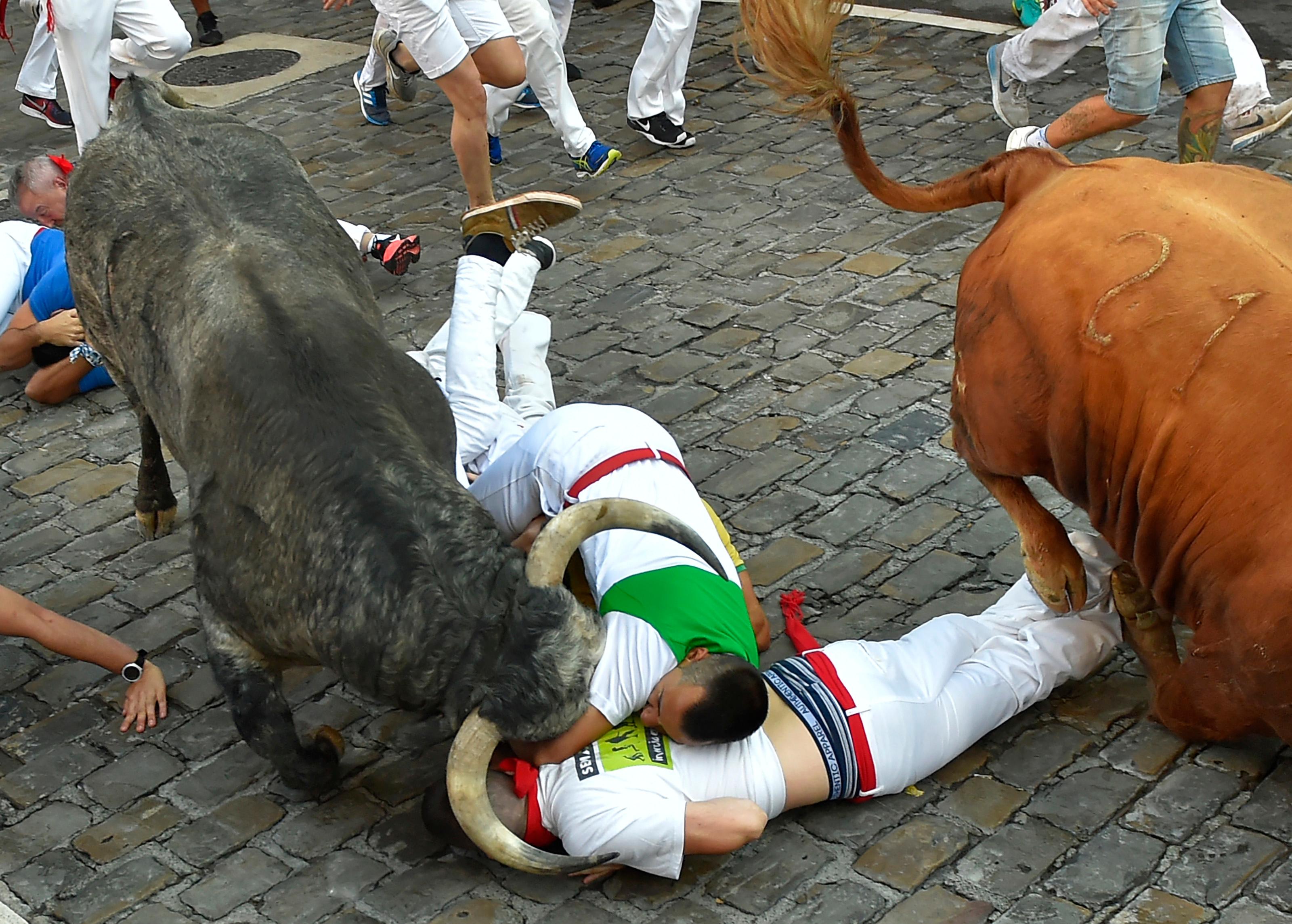 Španija: Četvero povrijeđeno u trci s bikovima