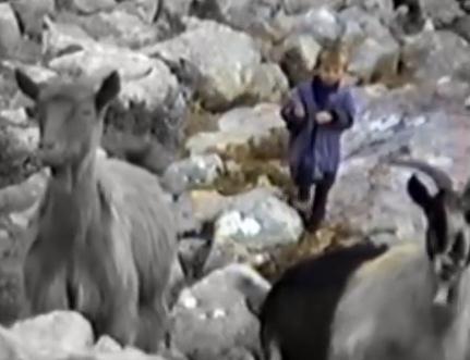 Prije 28 godina snimao vukove na Velebitu, a usput uhvatio i malog pastira, sada jednog od najboljih fudbalera svijeta