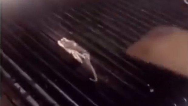Video na kojem radnik u restoranu peče pacova na roštilju zgrozio svijet