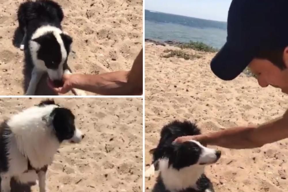 Melburn: Đoković hrani psa na plaži - Avaz