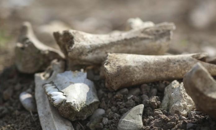 U Bjelorusiji iskopane kosti stotina Jevreja ubijenih u Drugom svjetskom ratu