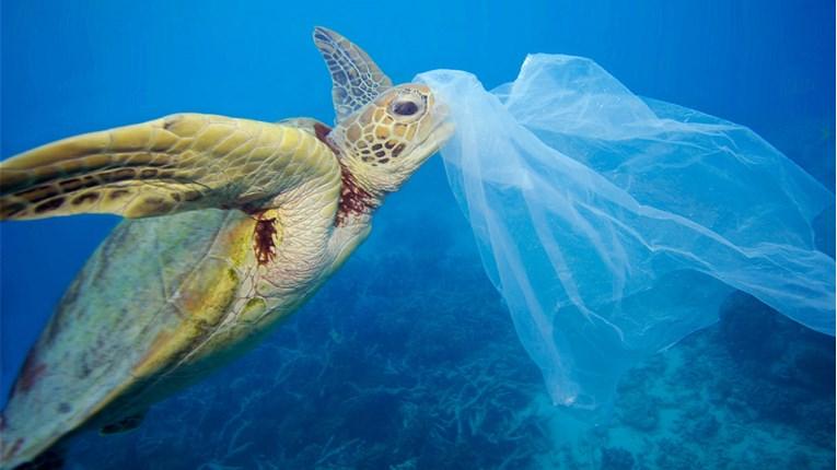 Zbog plastičnih kesa: Do 2050. u morima će biti više plastike nego riba