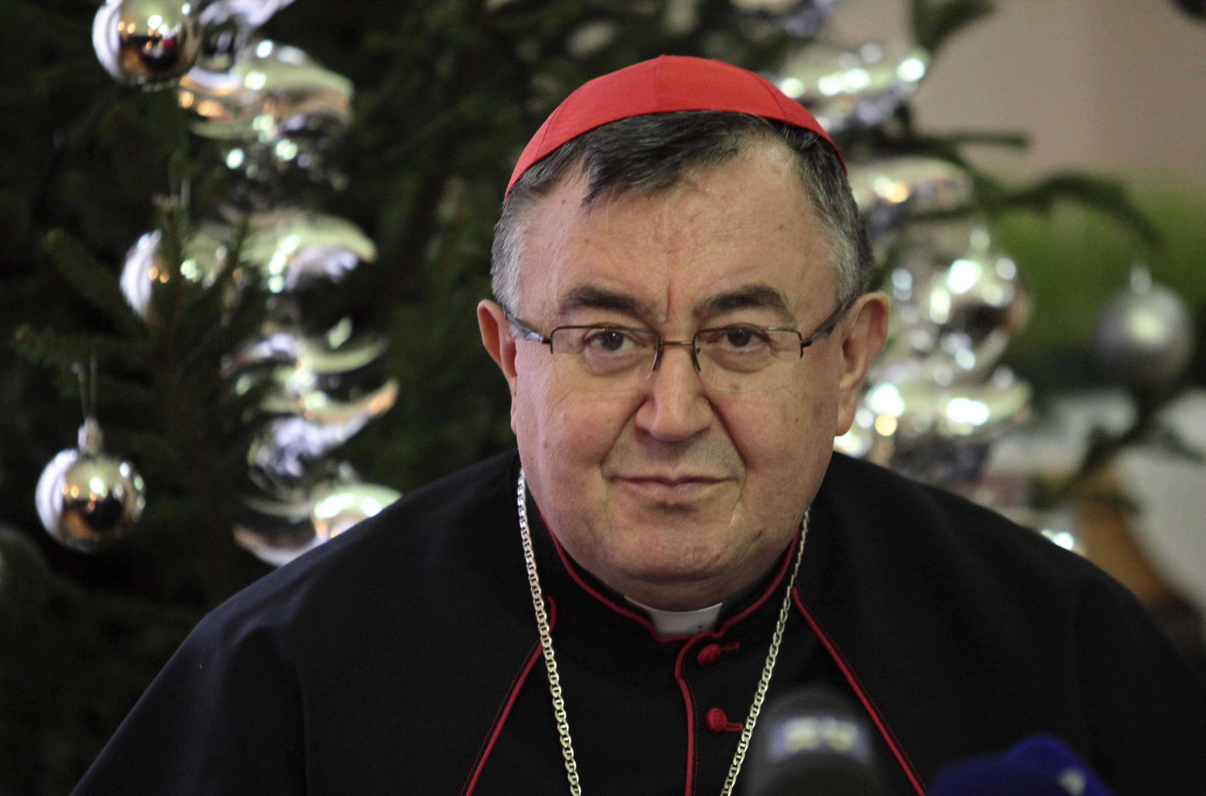 Kardinal Puljić: Odajem priznanje reisu Kavazoviću, mitropolit je iznenadio