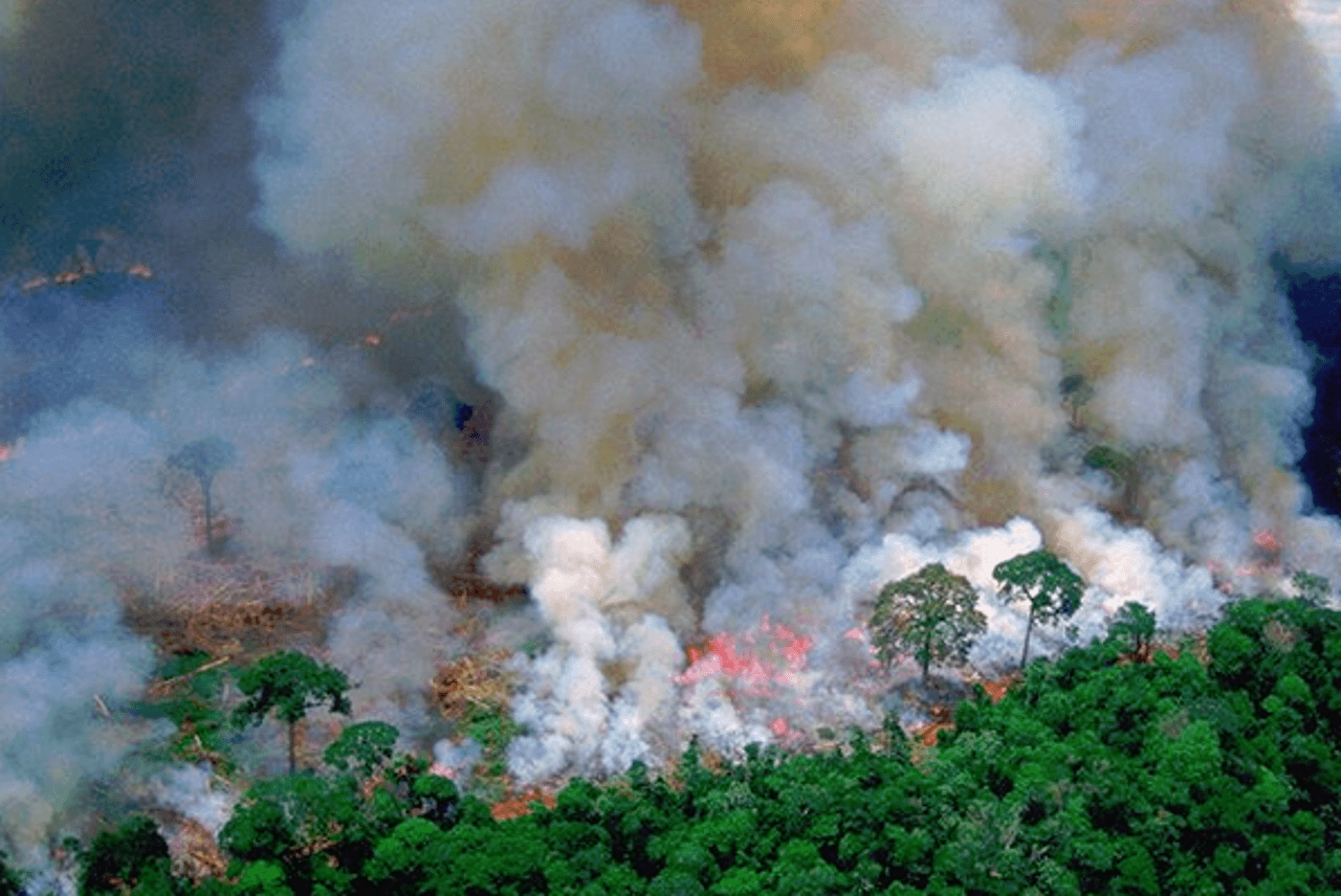 Najteži požari u Amazonu u 13 godina