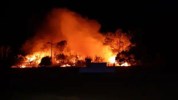 Požar na Zrću, 50 vatrogasaca na terenu