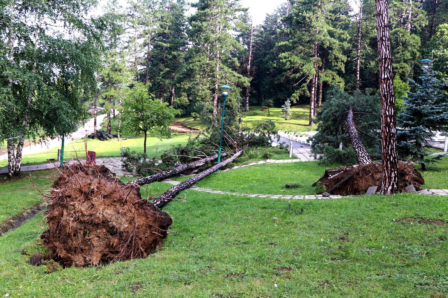 Apokaliptične scene u Tuzli: Poplavljeni objekti, vjetar čupao stabla iz korijena