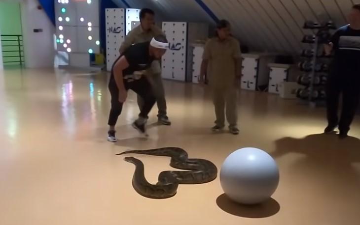 Habibu donijeli veliku zmiju na trening, nastao pravi haos