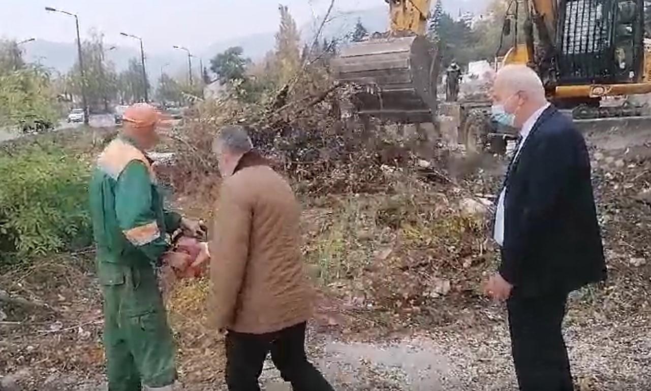 Načelnik Ajnadžić vlastoručno uklonio samoniklo drveće
