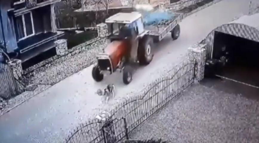 Monstruozno: Traktorom pregazio psa u mjestu Rašljeva kod Gračanice