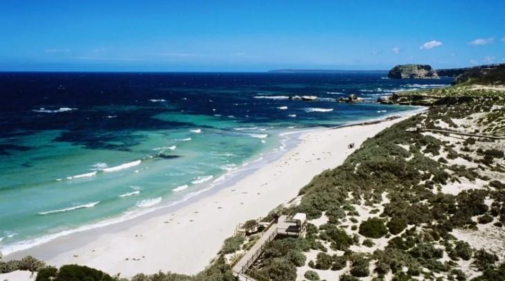 The attack happened on Kangaroo Island, off Australia's southern coast yesterday - Avaz