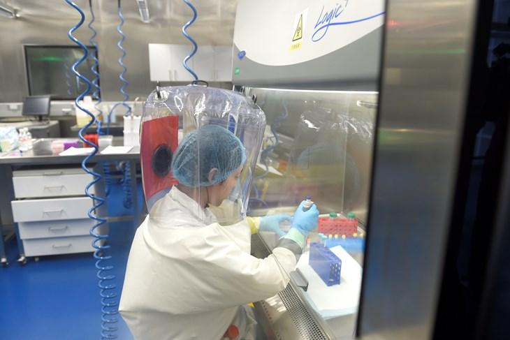 Kina: Nije tačno da su laboranti u Vuhanu imali koronavirus 2019. godine