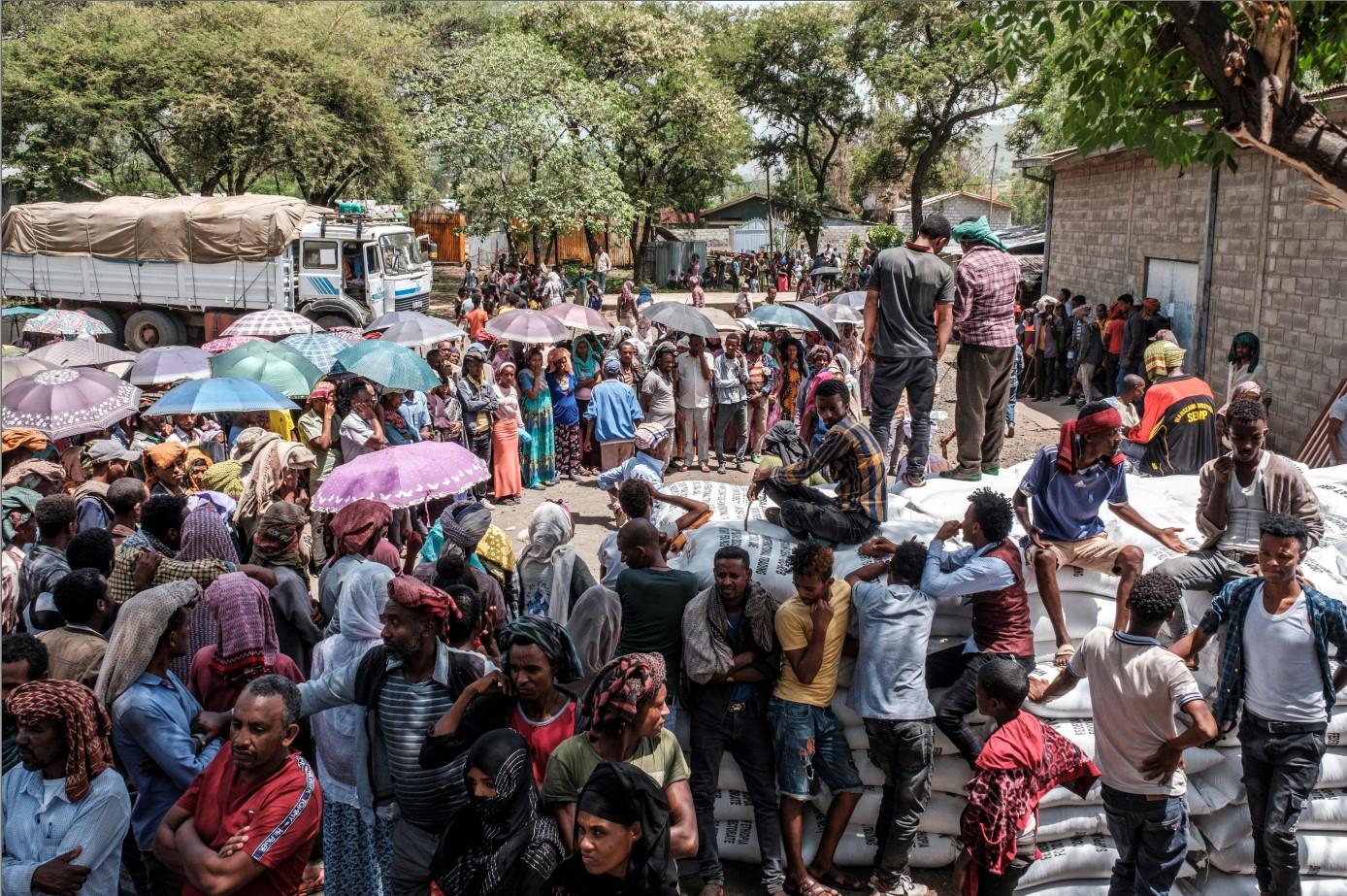 Za sve su krivi sukobi: Na istoku Etiopije vlada glad