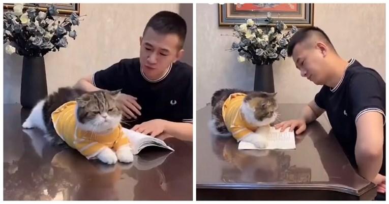 Mačka koja neprestano traži pažnju vlasnika osvojila je Instagram