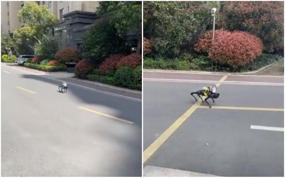 Nestvarne scene sa ulica Šangaja: Psi roboti idu ulicom i podsjećaju građane na epidemiološke mjere