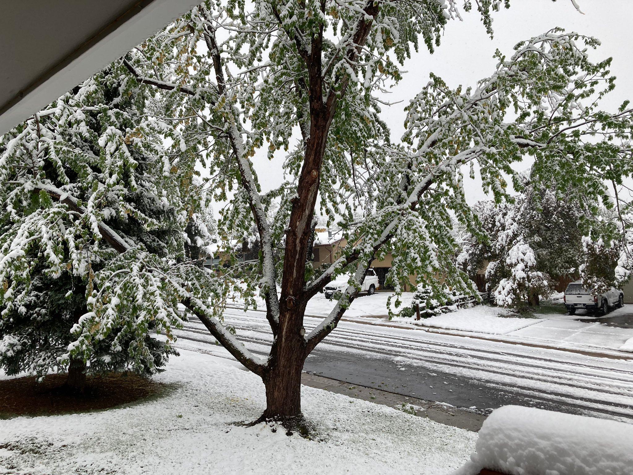 Snažna snježna mećava pogodila Kolorado: 210.000 domaćinstava ostalo bez struje