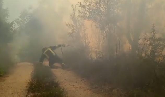 Herojska borba vatrogasaca: Spriječili širenje požara prema Boračkom jezeru