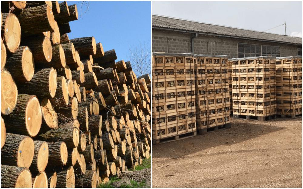 Ogrjevno drvo propada u skladištima: Proizvođači apeluju na vlast