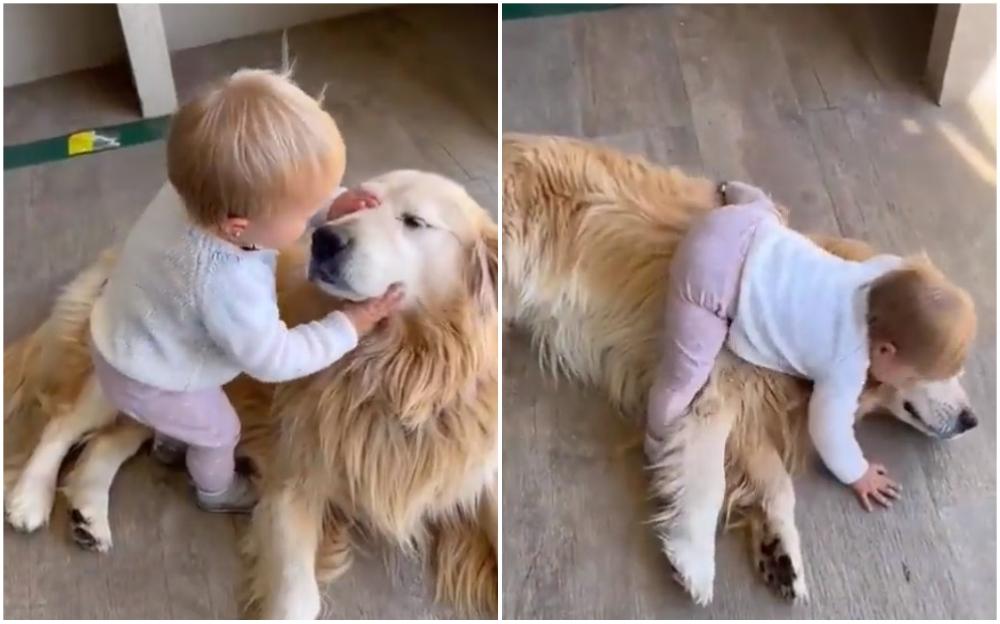 Beba prišla psu i zagrlila ga, video je pregledan pet miliona puta