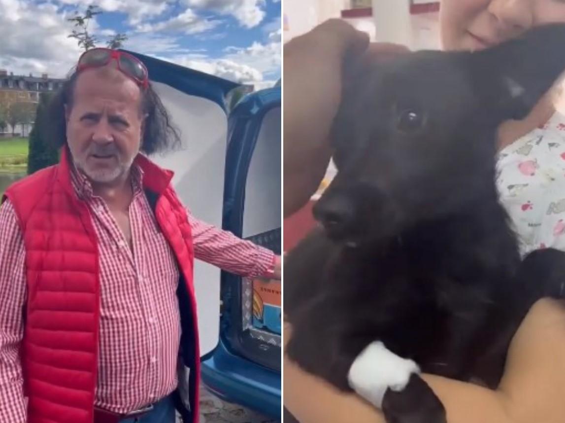 Sejo Brajlović spasio psa kojeg je udario automobil: Operacija uspješno prošla