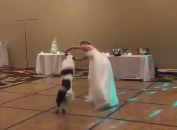 Ples mlade i psa na svadbi pregledan više od 1,2 miliona puta