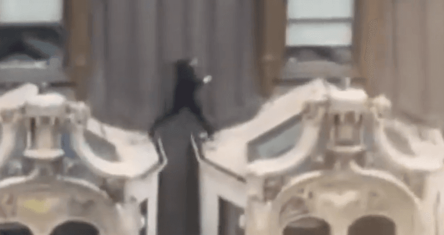 Muškarac snimljen kako skače preko krovova nebodera