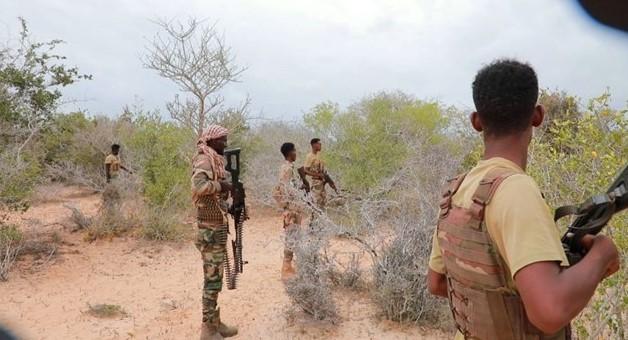 Najmanje 135 pripadnika Al-Shabaaba ubijeno u operaciji koju su 3. novembra izvele vladine snage - Avaz