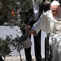 Papa se sastao sa žrtvama seksualnog zlostavljanja: Ovo je ukaljalo imidž katoličke crkve 