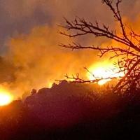 Šumski požar na lokalitetu Garački potok stavljen pod kontrolu