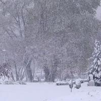 Snijeg u Srbiji: Temperature pale za 30 stepeni