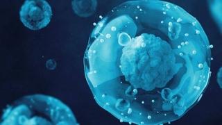 Programirana ćelijska smrt bi mogla biti stara 1,8 milijardi godina