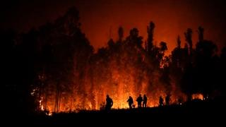 Broj žrtava u požarima u Čileu porastao na 131: Većinu ne mogu identificirati