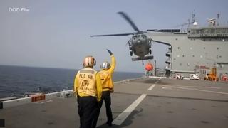 Američke foke poslate u tajnu misiju u Crvenom moru, pa nestali