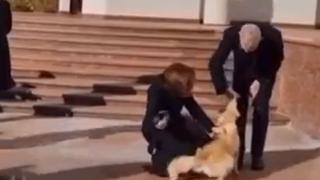 Video / Pas moldavske predsjednice ugrizao predsjednika Austrije