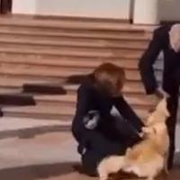Video / Pas moldavske predsjednice ugrizao predsjednika Austrije