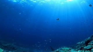 U moru nedaleko od Jadranskog pronađen misteriozni podvodni grad: Stručnjake muči kako je nastao