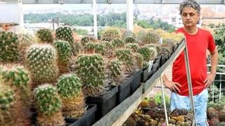 Na krovu kuće uzgaja više od hiljadu vrsta kaktusa: Zalijeva ih i po deset sati