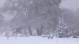 Snijeg u Srbiji: Temperature pale za 30 stepeni