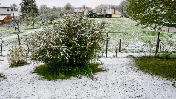 Snijeg u Sloveniji - Avaz