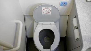 Evo šta se dešava ukoliko pušite u WC-u u avionu: Stjuardesa upozorava na brojne posljedice