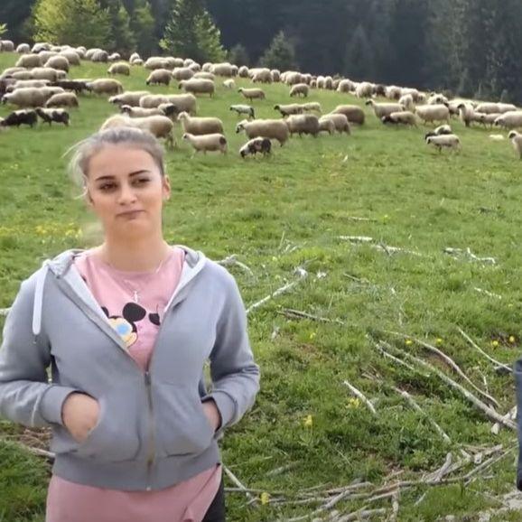 Hasan i njegova kćerka Azemina brinu o 500 ovaca: Njene riječi će vas oduševiti