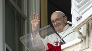 Zdravstveno stanje pape Franje bolje, održao audijenciju