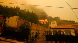 Bukte 92 požara u Čileu: Najmanje 19 ljudi poginulo